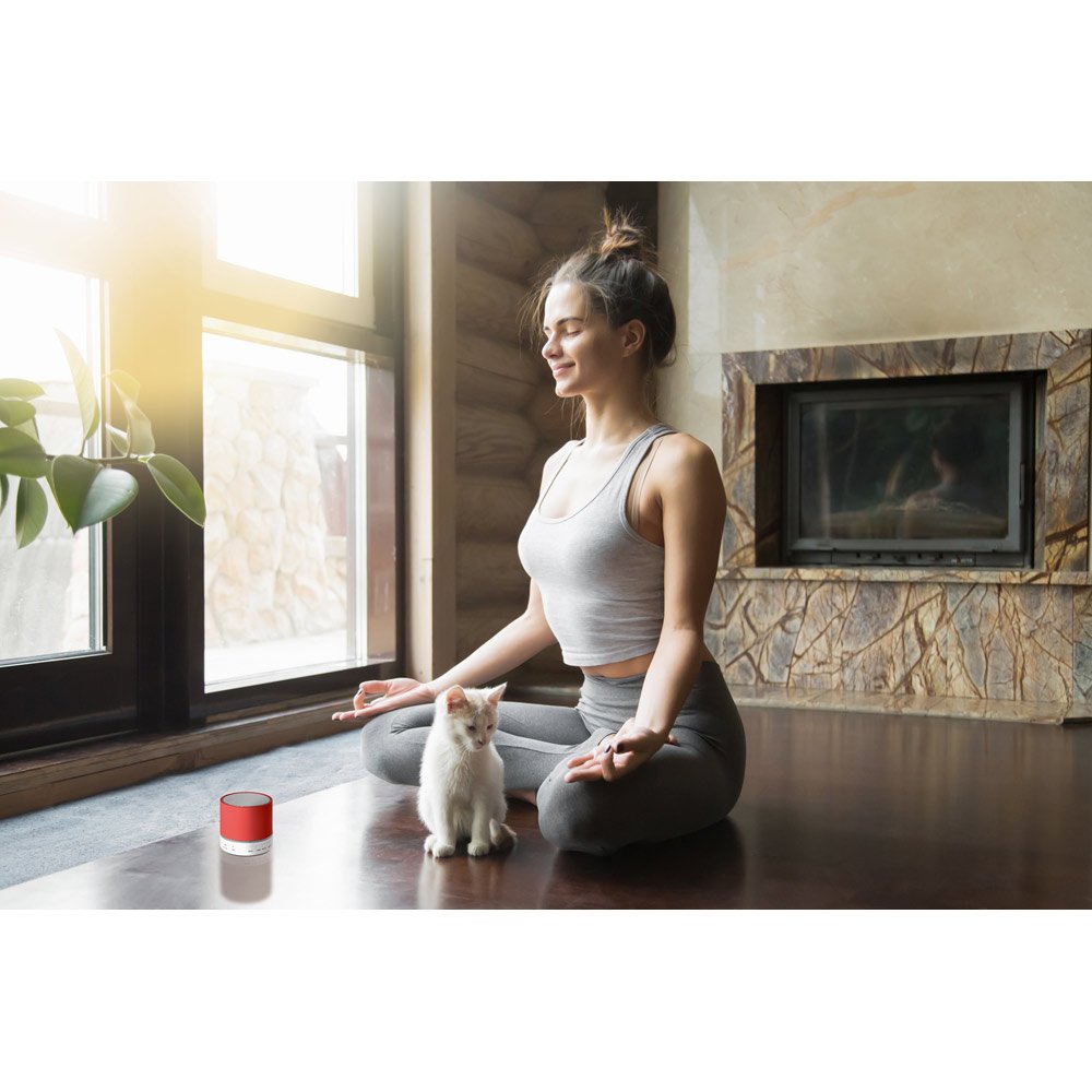 Caixa de som com microfone em ABS - Imagem 3